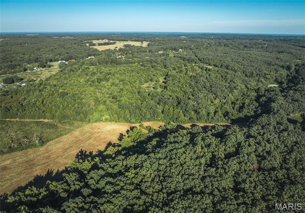 Photo 13 - Land for sale – 44.54 Acres  Highway BB   Dixon, MO
