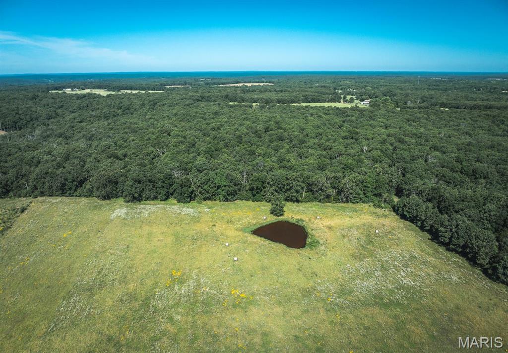 Photo 10 - Land for sale – 000  County Road 6190   Edgar Springs, MO