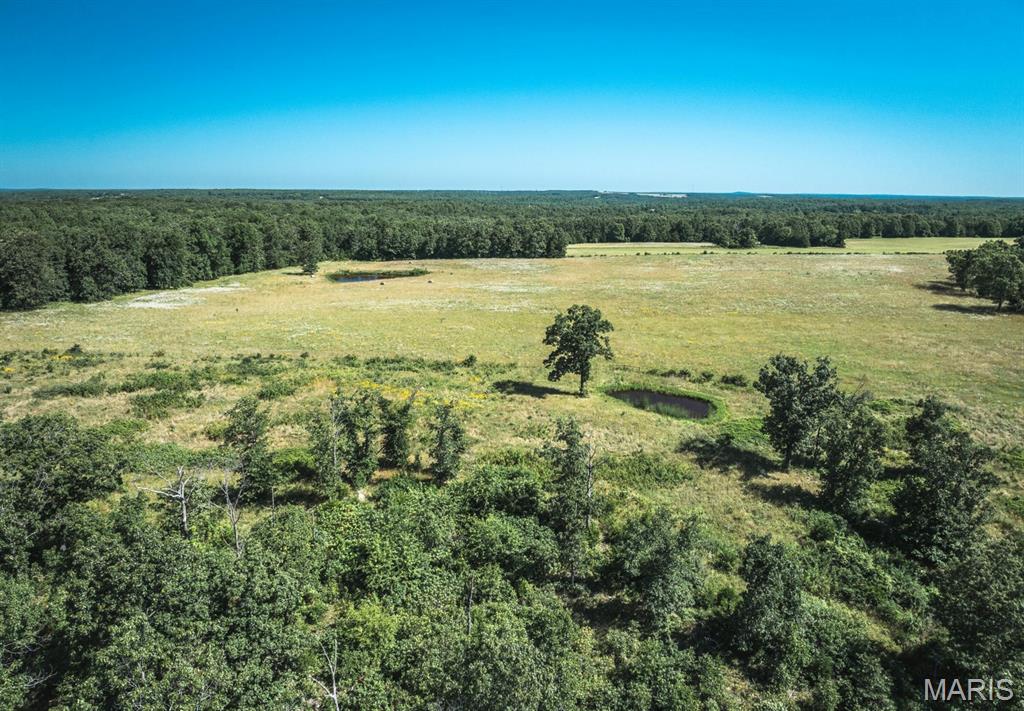 Photo 18 - Land for sale – 000  County Road 6190   Edgar Springs, MO