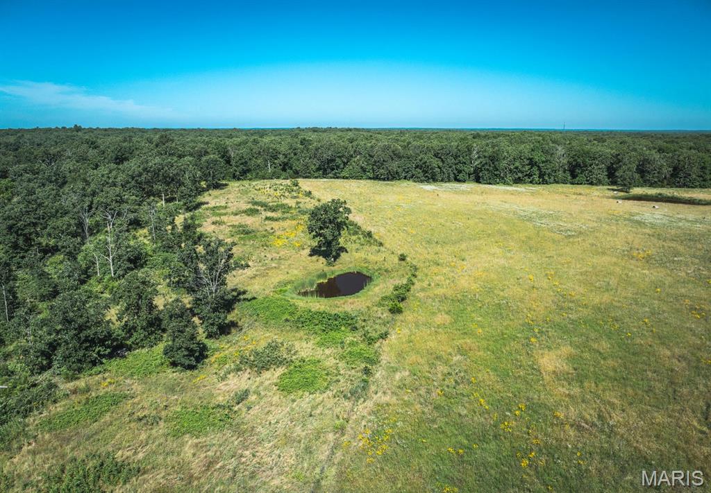 Photo 7 - Land for sale – 000  County Road 6190   Edgar Springs, MO
