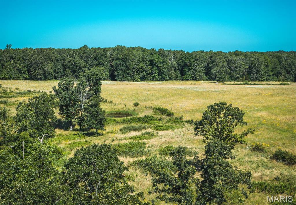 Photo 19 - Land for sale – 000  County Road 6190   Edgar Springs, MO
