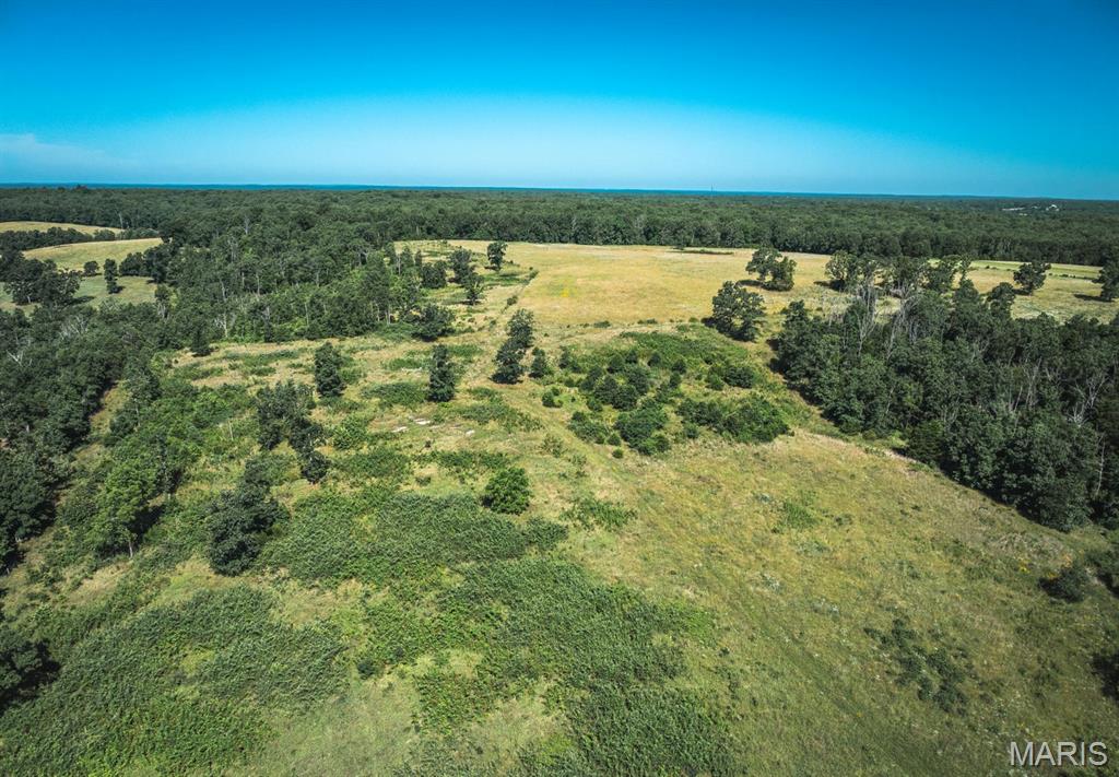 Photo 4 - Land for sale – 000  County Road 6190   Edgar Springs, MO