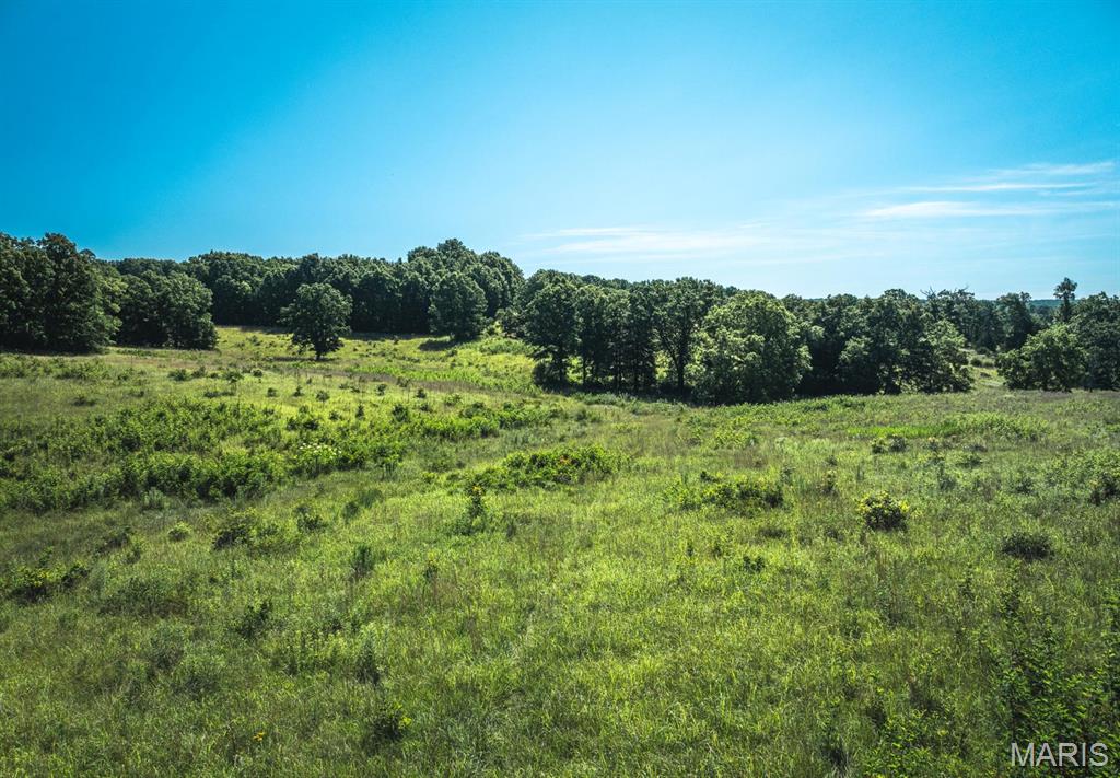 Photo 22 - Land for sale – 000  County Road 6190   Edgar Springs, MO