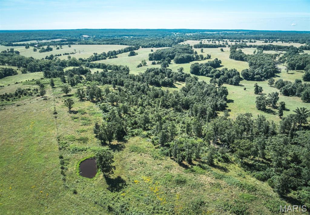Photo 16 - Land for sale – 000  County Road 6190   Edgar Springs, MO