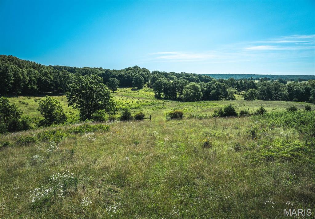 Photo 21 - Land for sale – 000  County Road 6190   Edgar Springs, MO