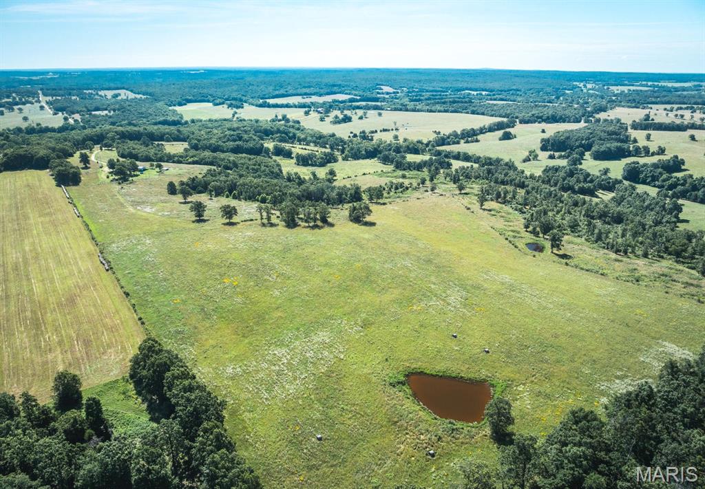 Photo 15 - Land for sale – 000  County Road 6190   Edgar Springs, MO