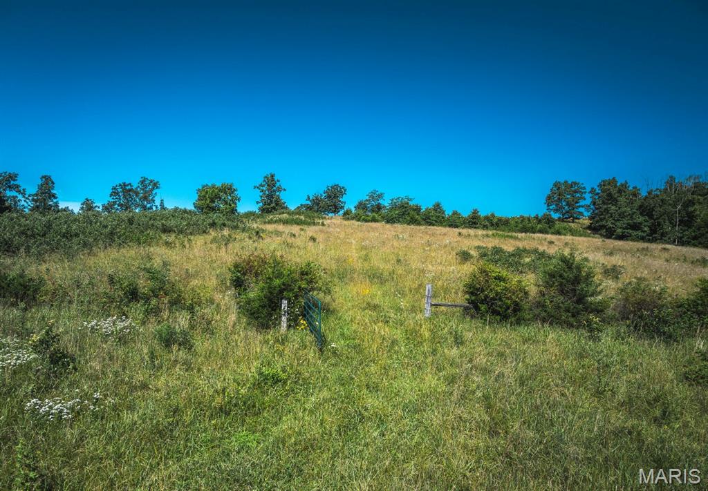 Photo 23 - Land for sale – 000  County Road 6190   Edgar Springs, MO