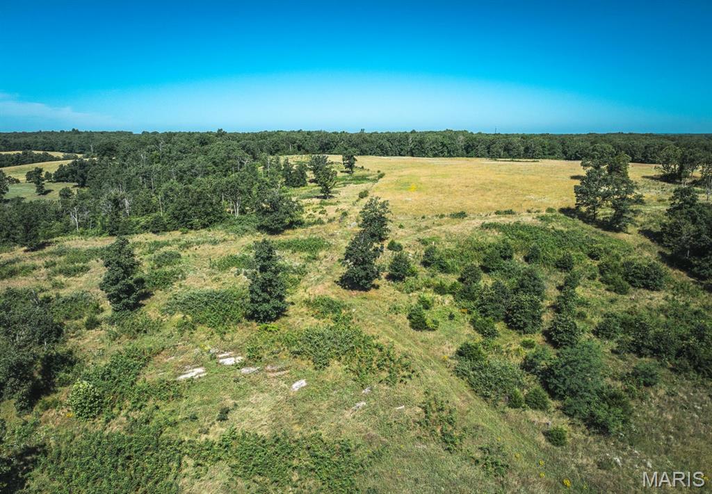 Photo 5 - Land for sale – 000  County Road 6190   Edgar Springs, MO