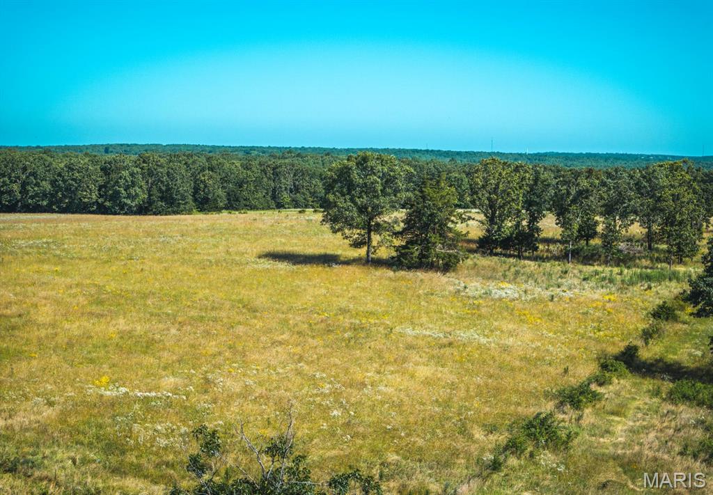 Photo 20 - Land for sale – 000  County Road 6190   Edgar Springs, MO