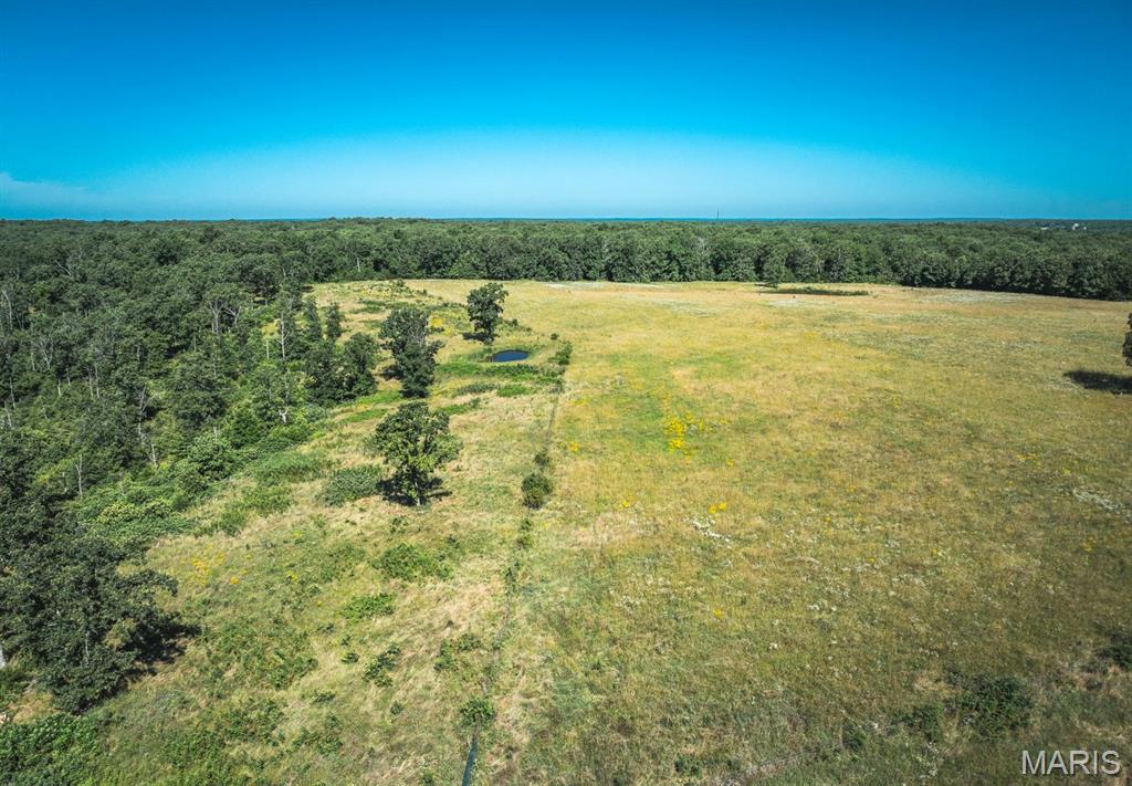 Photo 6 - Land for sale – 000  County Road 6190   Edgar Springs, MO