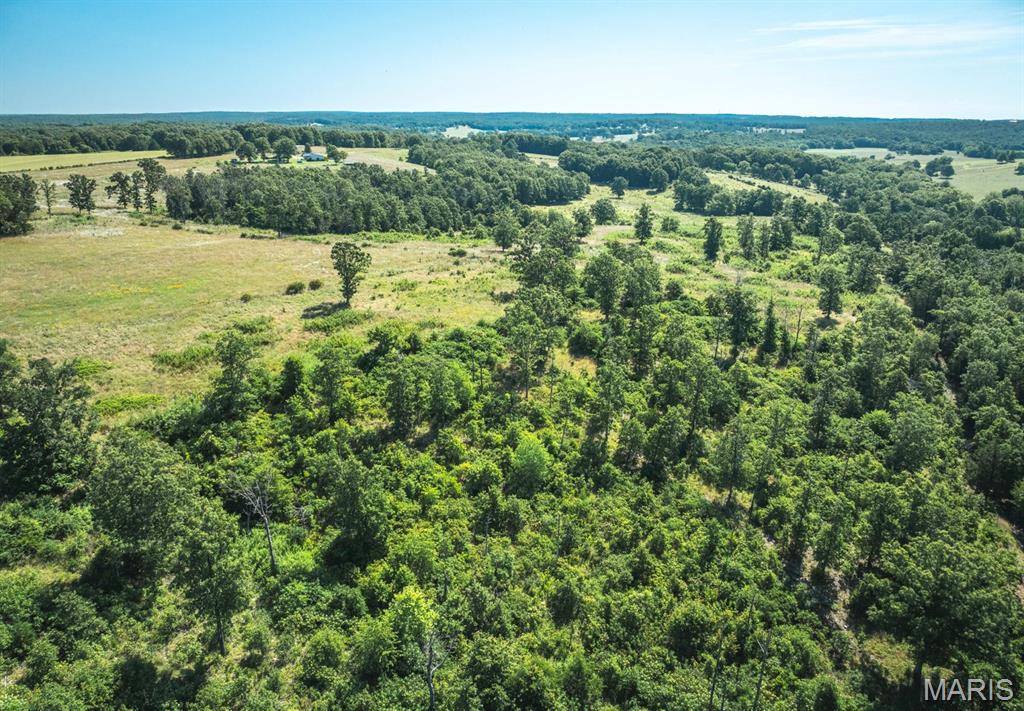 Photo 17 - Land for sale – 000  County Road 6190   Edgar Springs, MO