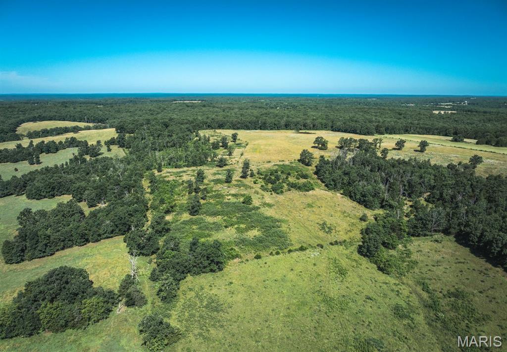 Photo 3 - Land for sale – 000  County Road 6190   Edgar Springs, MO
