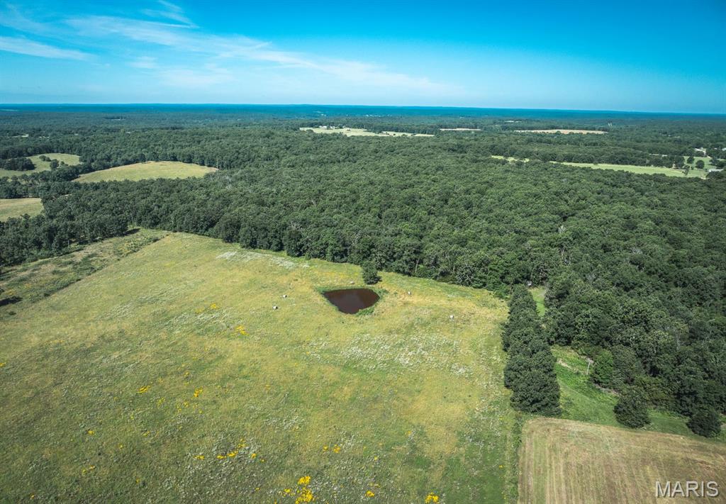 Photo 12 - Land for sale – 000  County Road 6190   Edgar Springs, MO