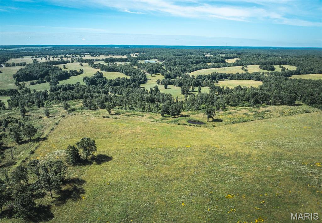 Photo 13 - Land for sale – 000  County Road 6190   Edgar Springs, MO