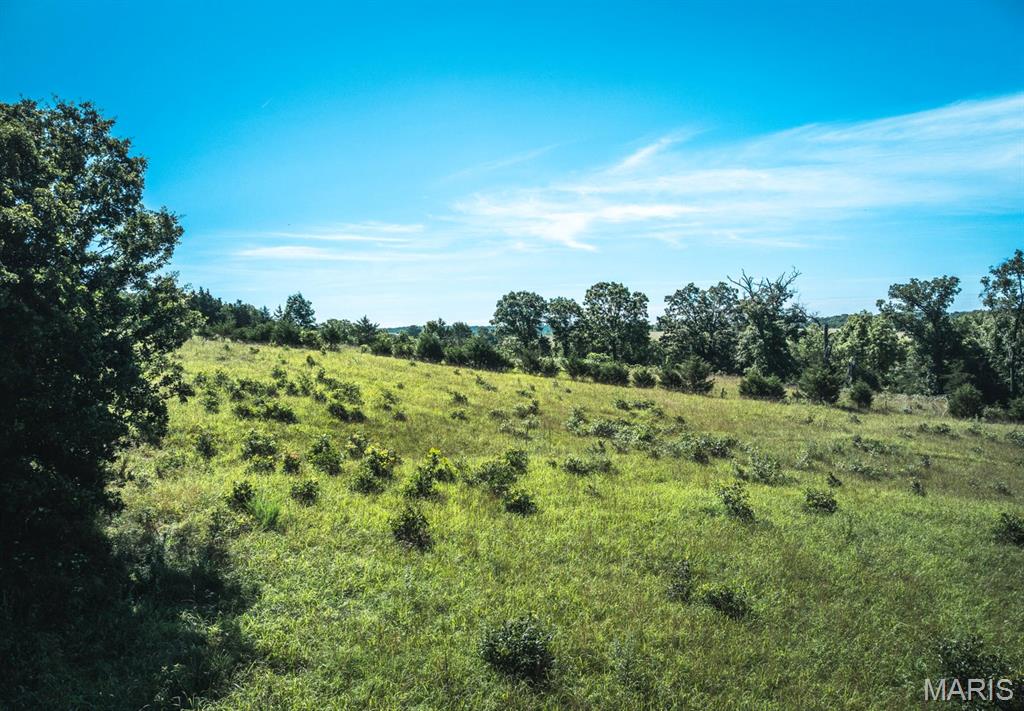 Photo 24 - Land for sale – 000  County Road 6190   Edgar Springs, MO