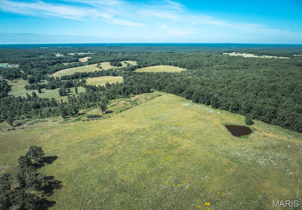 Photo 11 - Land for sale – 000  County Road 6190   Edgar Springs, MO