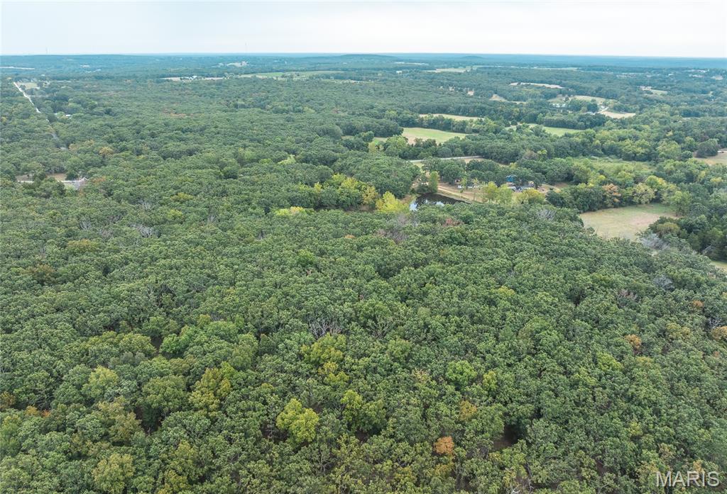 Photo 23 - Land for sale – 16757  State Route B   St James, MO