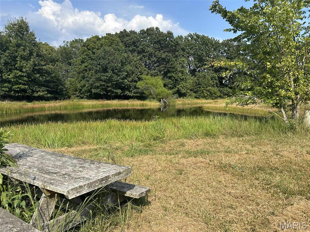 Photo 3 - Land for sale – 16757  State Route B   St James, MO