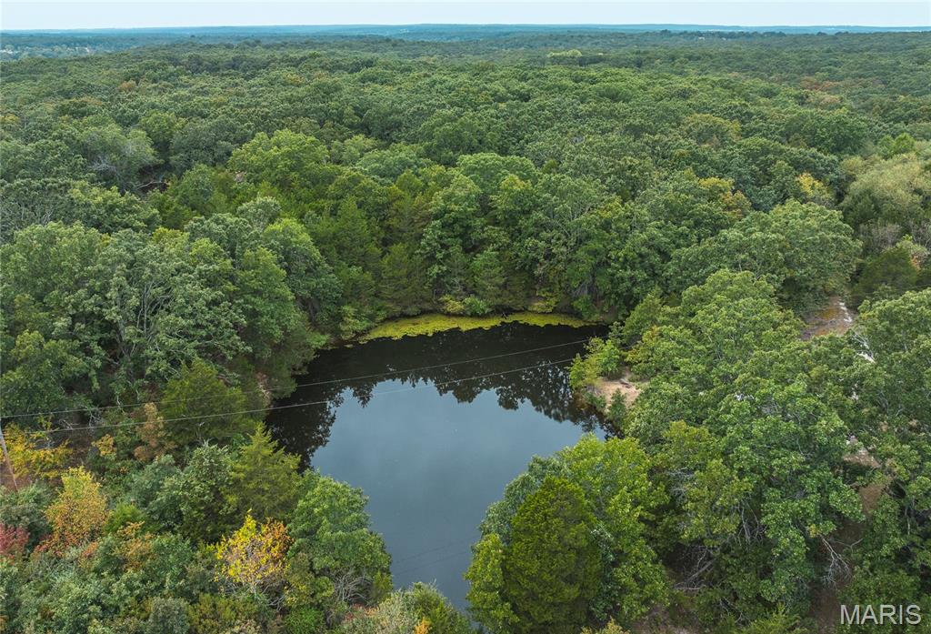 Photo 12 - Land for sale – 16757  State Route B   St James, MO