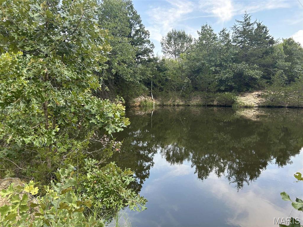 Photo 13 - Land for sale – 16757  State Route B   St James, MO