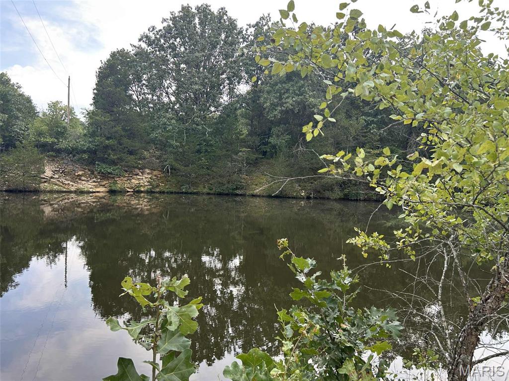 Photo 14 - Land for sale – 16757  State Route B   St James, MO