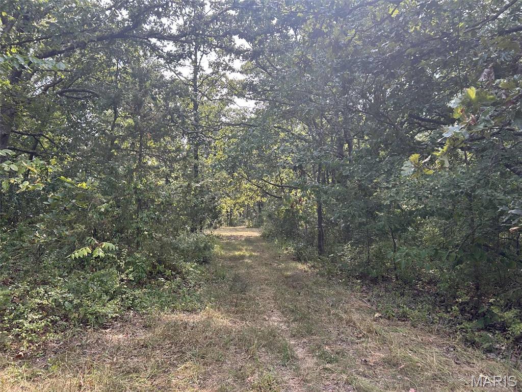 Photo 16 - Land for sale – 16757  State Route B   St James, MO