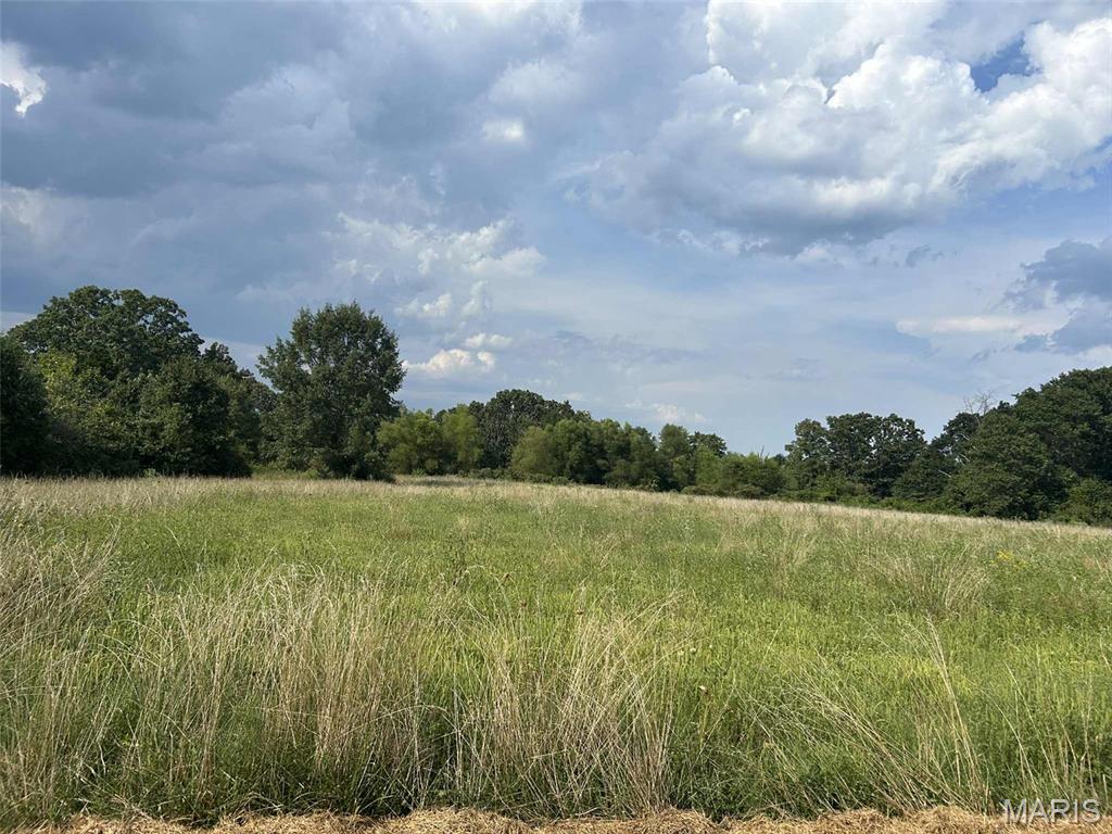 Photo 9 - Land for sale – 16757  State Route B   St James, MO