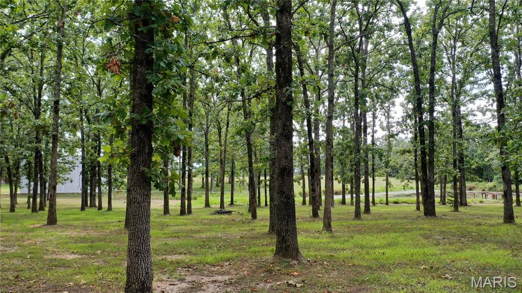 Photo 48 - Residential for sale – 3234 N Hwy. 19   Salem, MO