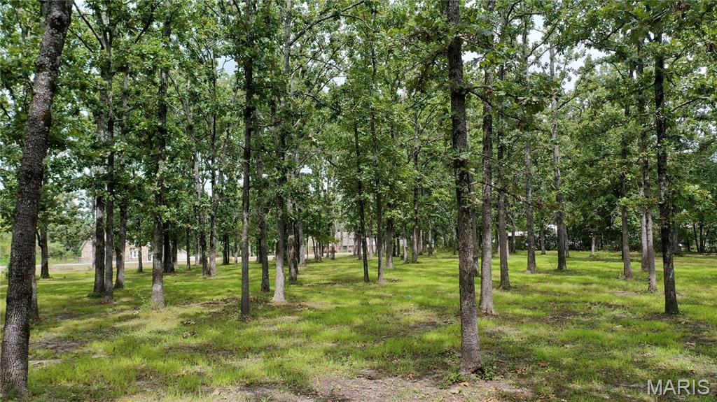 Photo 51 - Residential for sale – 3234 N Hwy. 19   Salem, MO