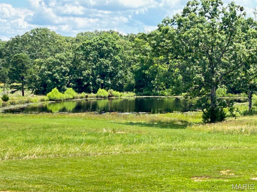 Photo 60 - Farm for sale – 3262  County Road 2330   Salem, MO