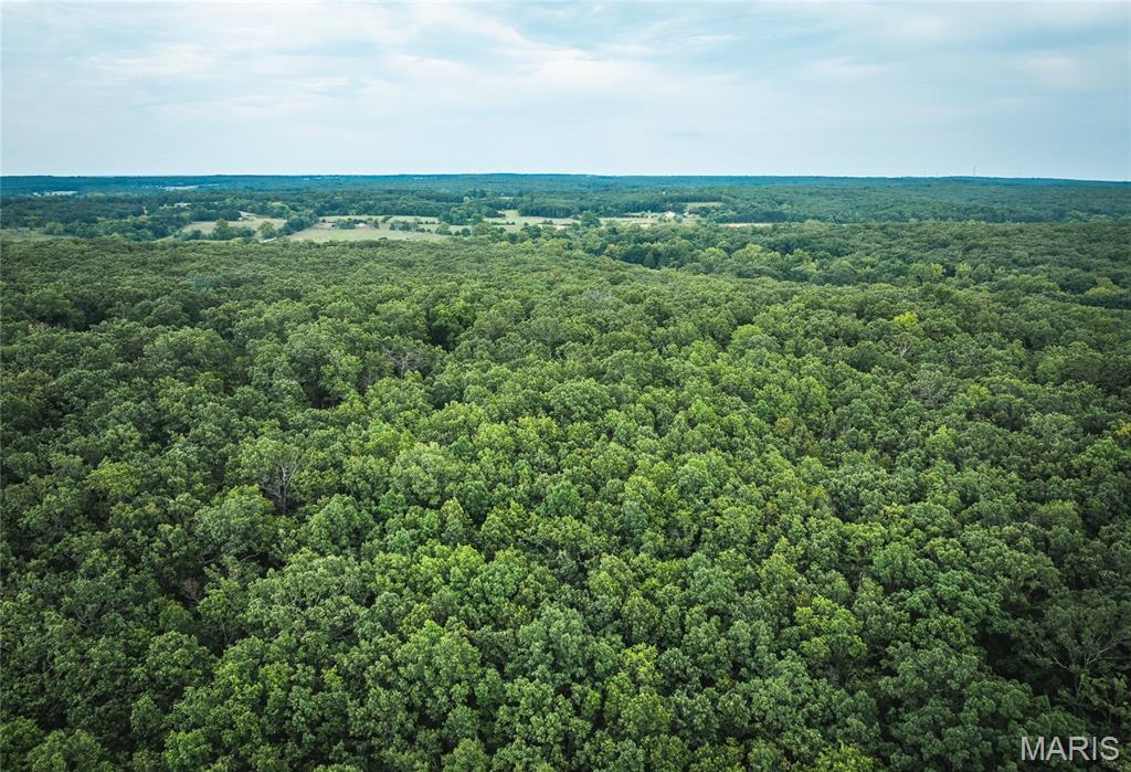 Photo 10 - Farm for sale – 18017  County Road 1210   Unincorporated, MO