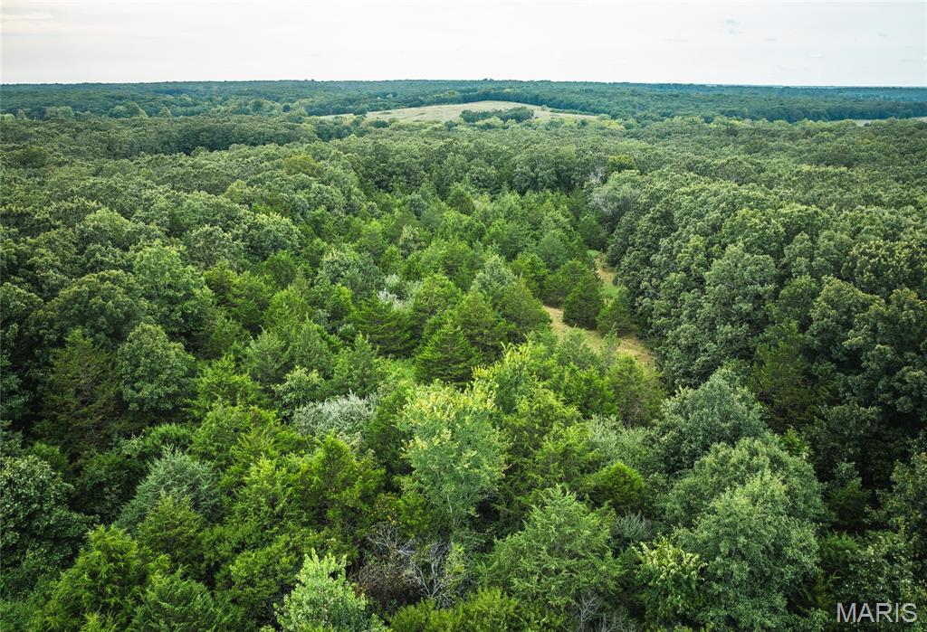 Photo 8 - Farm for sale – 18017  County Road 1210   Unincorporated, MO