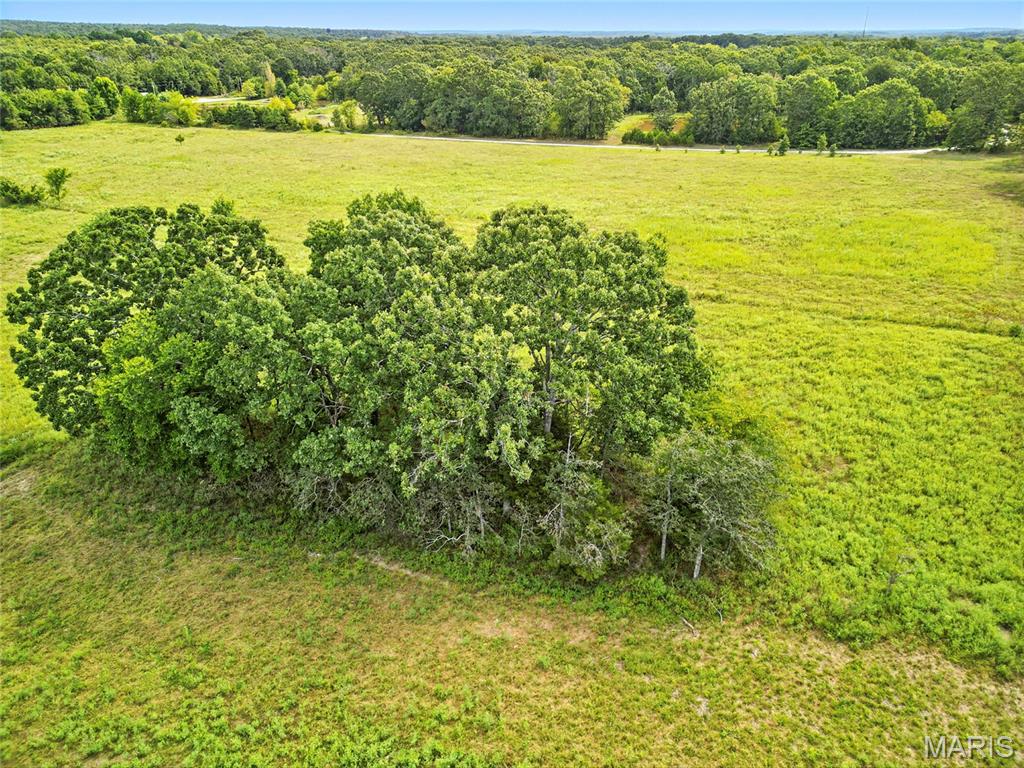 Photo 14 - Land for sale – 00  Private Drive 6245   Edgar Springs, MO