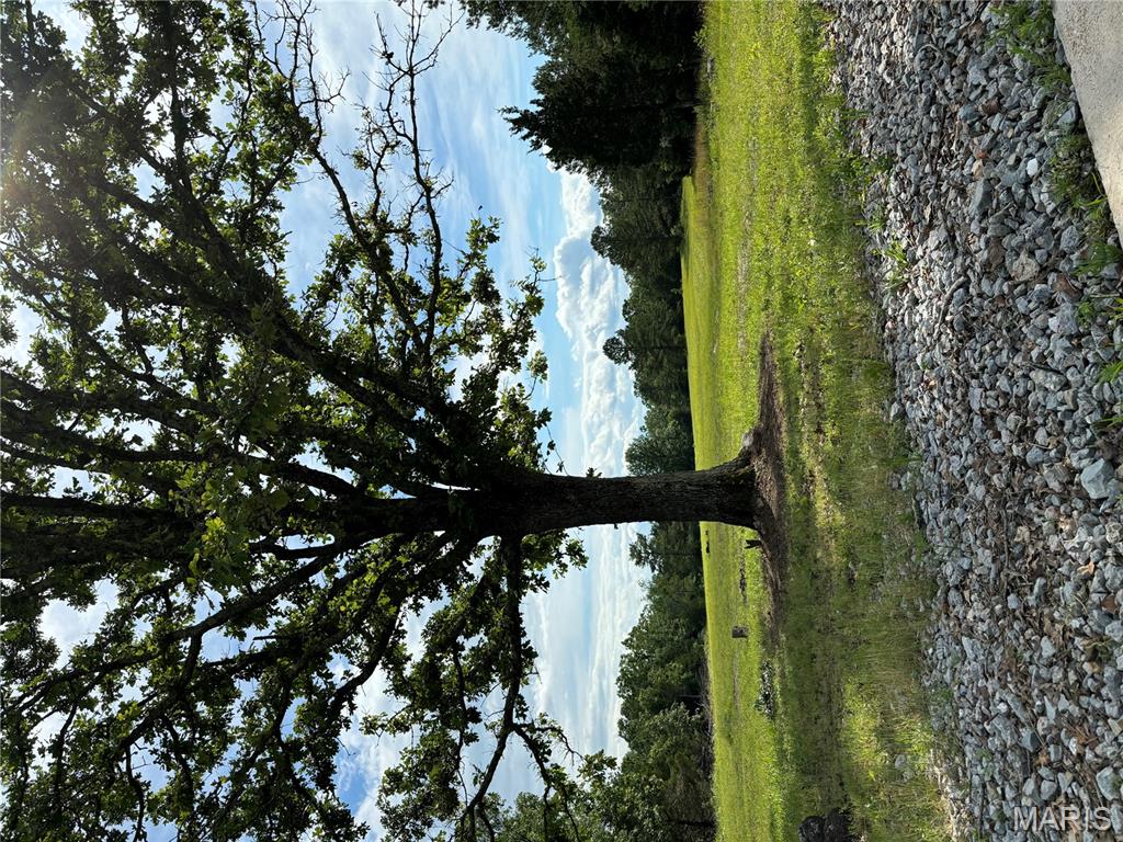 Photo 20 - Land for sale – 0  County Road 2590   Edgar Springs, MO