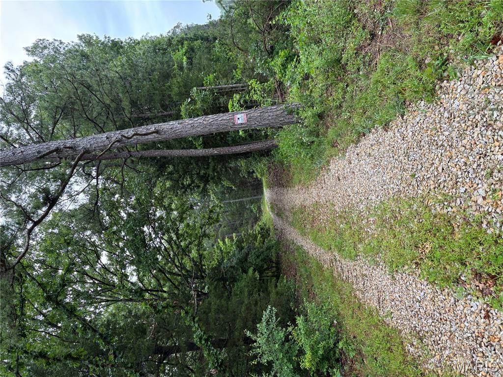 Photo 19 - Land for sale – 0  County Road 2590   Edgar Springs, MO