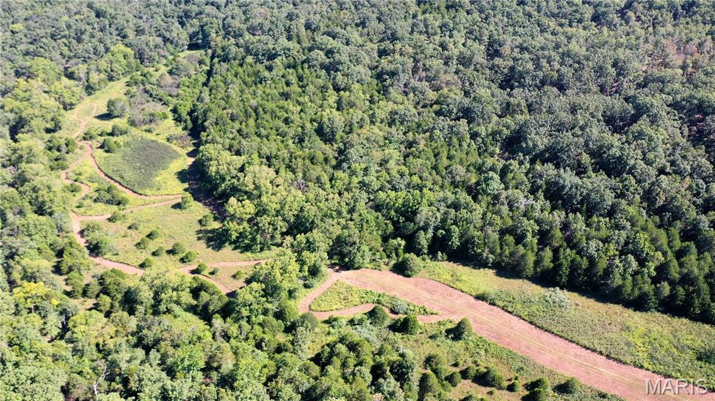 Photo 16 - Land for sale – 0  County Road 2590   Edgar Springs, MO
