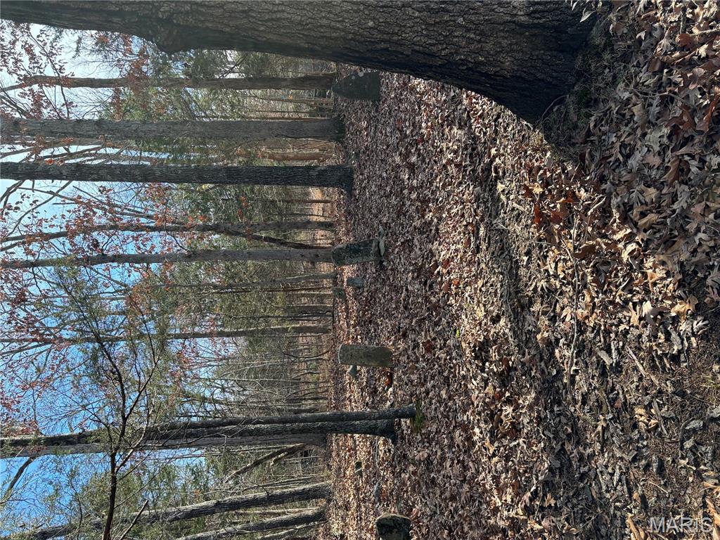 Photo 21 - Land for sale – 0  County Road 2590   Edgar Springs, MO