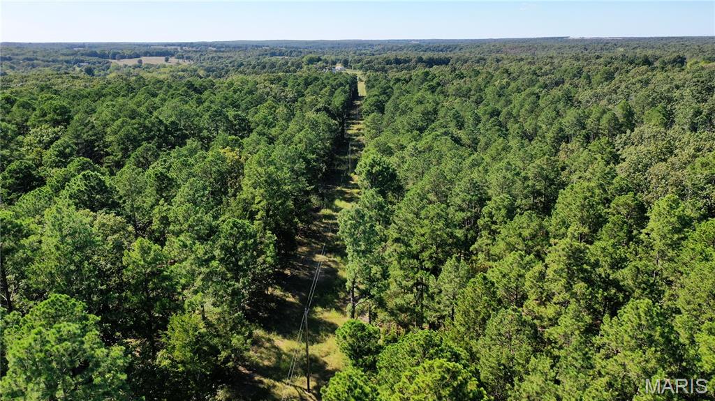 Photo 14 - Land for sale – 0  County Road 2590   Edgar Springs, MO