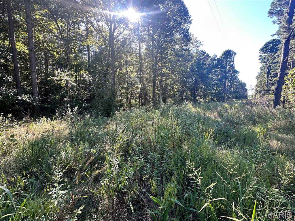 Photo 12 - Land for sale – 0  County Road 2590   Edgar Springs, MO