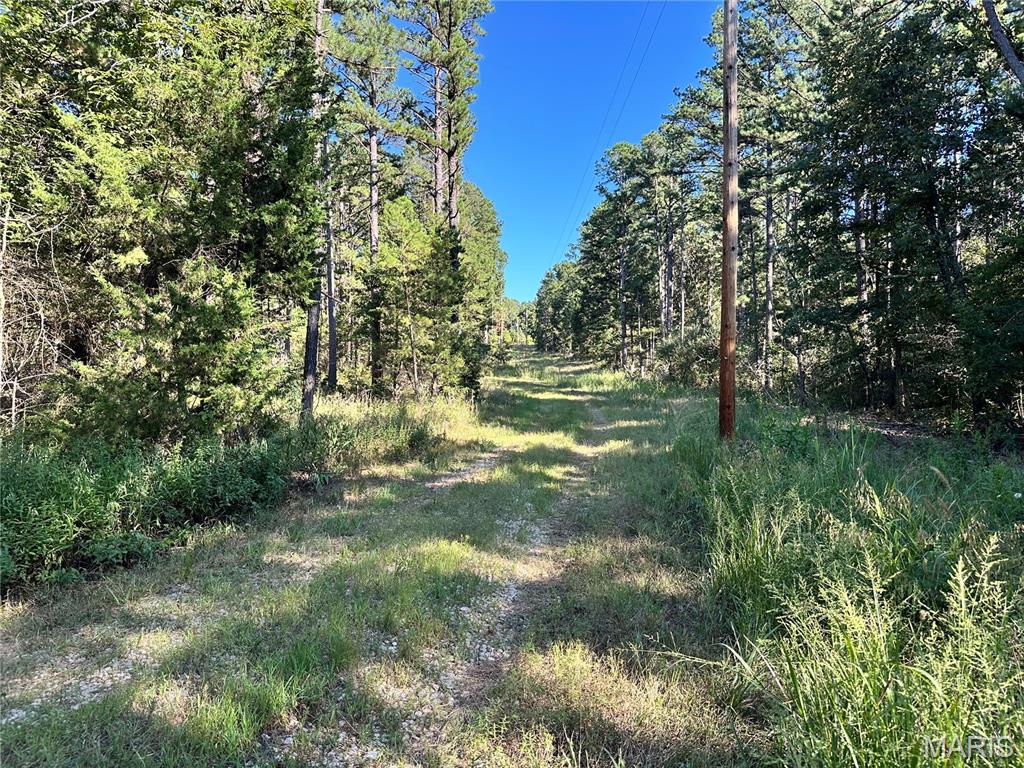 Photo 11 - Land for sale – 0  County Road 2590   Edgar Springs, MO