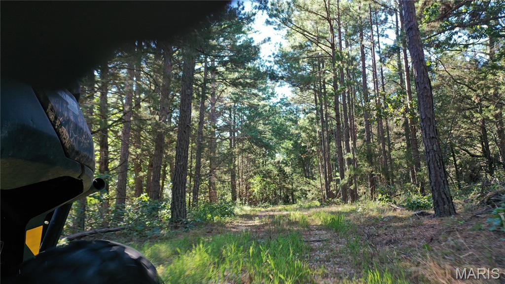 Photo 3 - Land for sale – 0  County Road 2590   Edgar Springs, MO