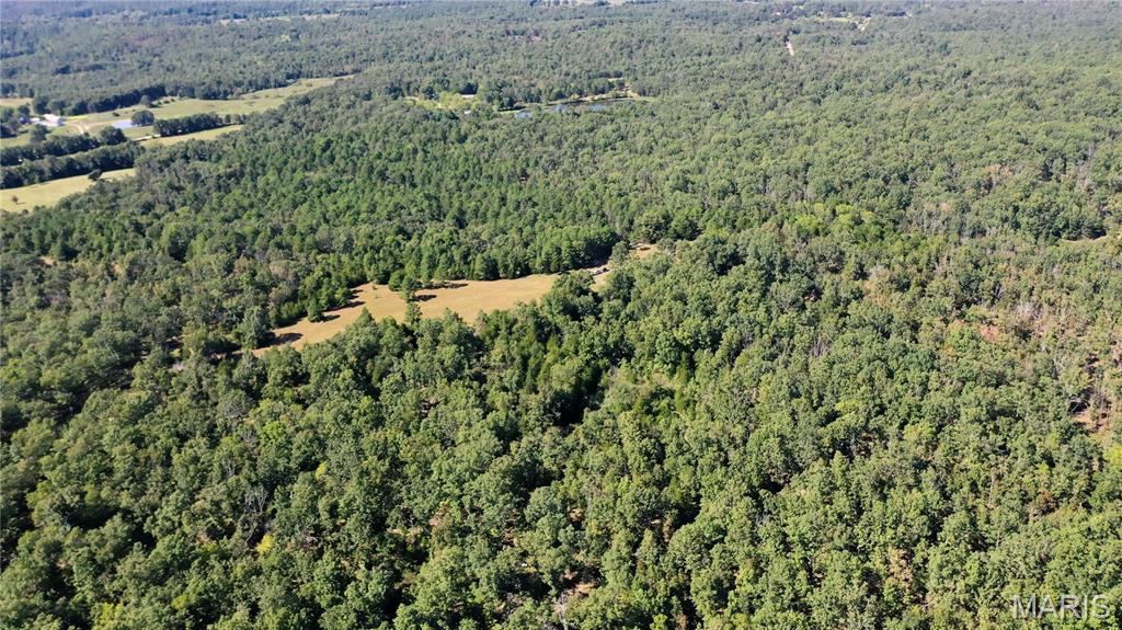 Photo 15 - Land for sale – 0  County Road 2590   Edgar Springs, MO
