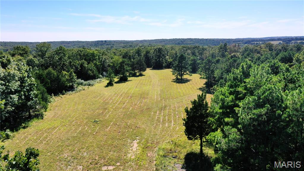 Photo 2 - Land for sale – 0  County Road 2590   Edgar Springs, MO