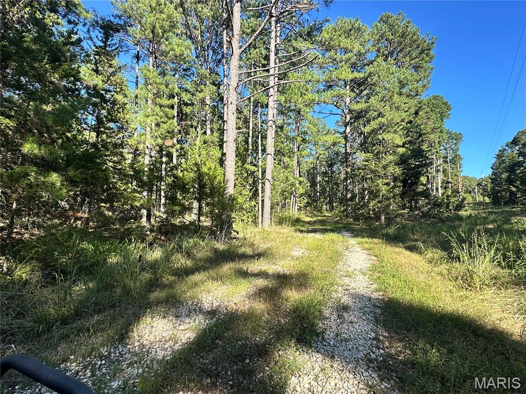 Photo 13 - Land for sale – 0  County Road 2590   Edgar Springs, MO