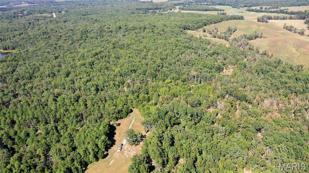 Photo 8 - Land for sale – 0  County Road 2590   Edgar Springs, MO