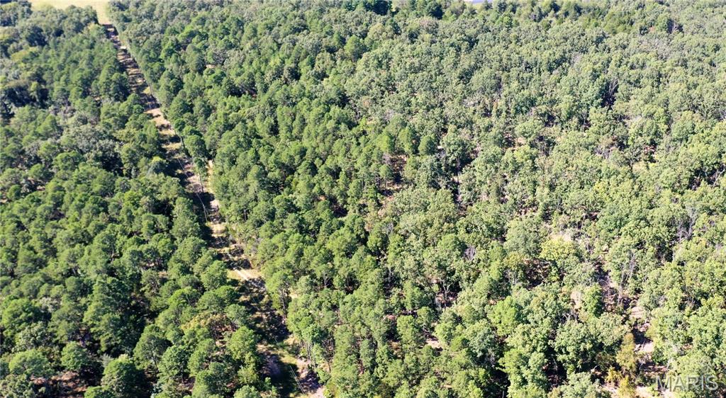 Photo 10 - Land for sale – 0  County Road 2590   Edgar Springs, MO