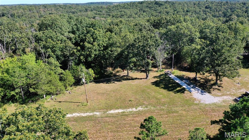 Photo 4 - Land for sale – 0  County Road 2590   Edgar Springs, MO