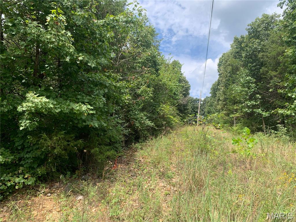 Photo 7 - Land for sale – 000  Cedar Grove Lane  Rolla, MO