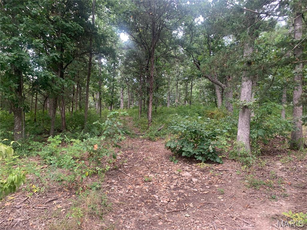 Photo 5 - Land for sale – 000  Cedar Grove Lane  Rolla, MO