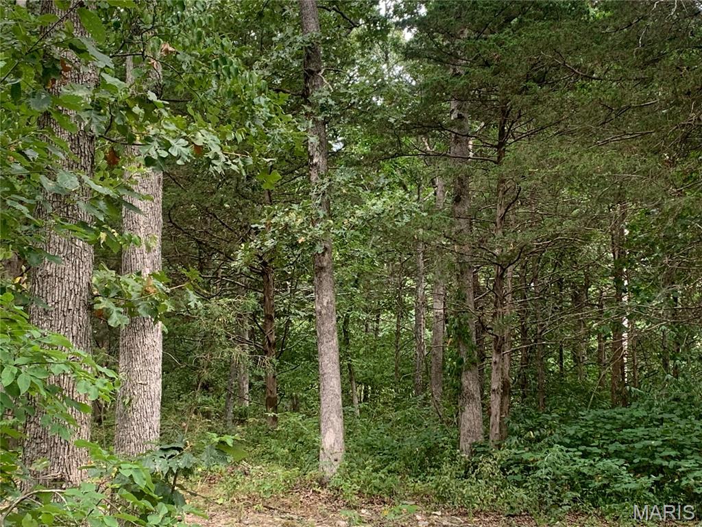 Photo 2 - Land for sale – 000  Cedar Grove Lane  Rolla, MO